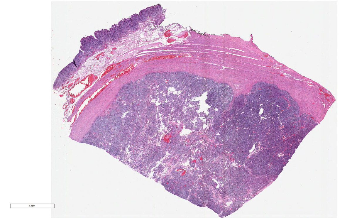 Vikram Deshpande tweet media