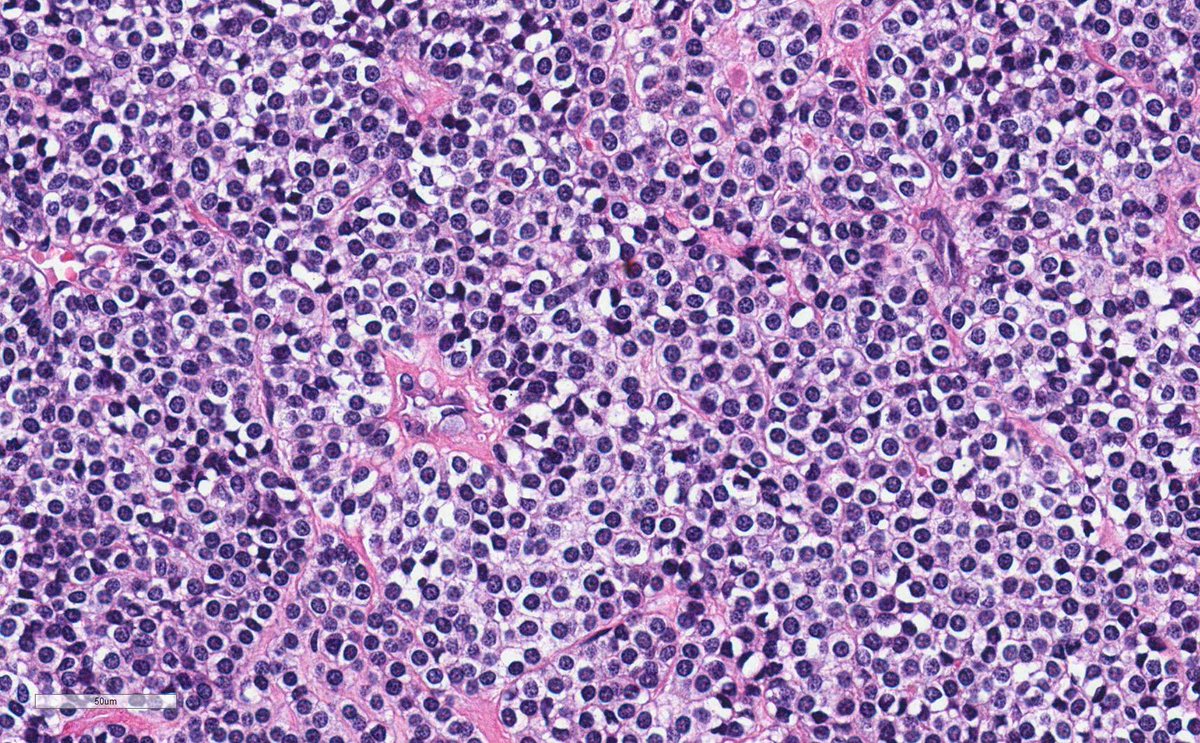 Vikram Deshpande tweet media