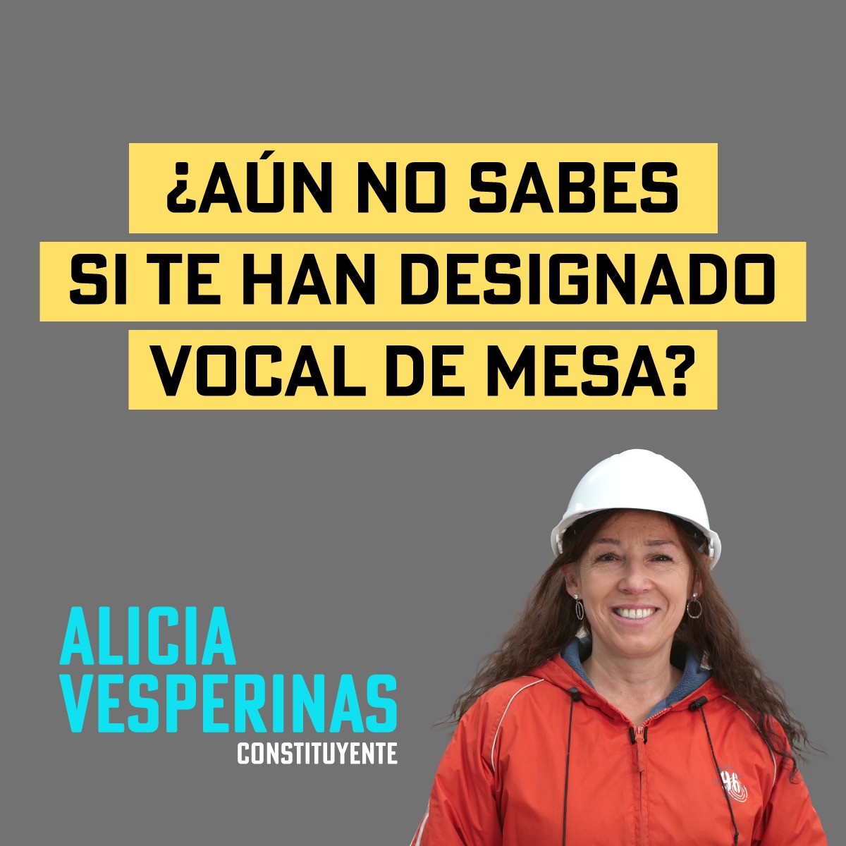 Consúltalo en el Servicio Electoral de Chile. Entra en consulta.servel.cl