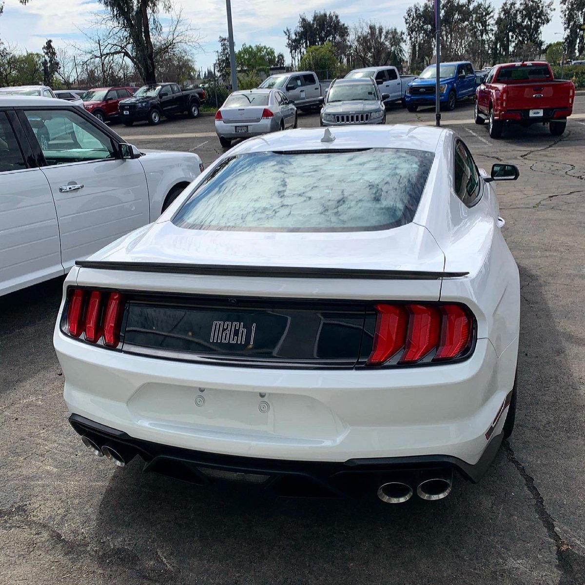Can’t take our eyes off of this 2021 Mach 1📸  This vehicle is listed at $57,400 and can be yours today!  Also don’t forget about our 20YR/250k MILE WARRANTY🔥 *dm for inquiries