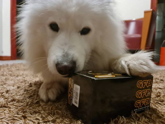 Scoobyworld_UK's tweet photo. GFB "Go Fast Bits" is Doggo approved.
Thanks to Oliver &amp; Misha for the picture!
Details here: https://t.co/LojQ60m4is
#WRX #Scooby #Scoobyworld #GFB #Doggo https://t.co/3sjVgWPMBP