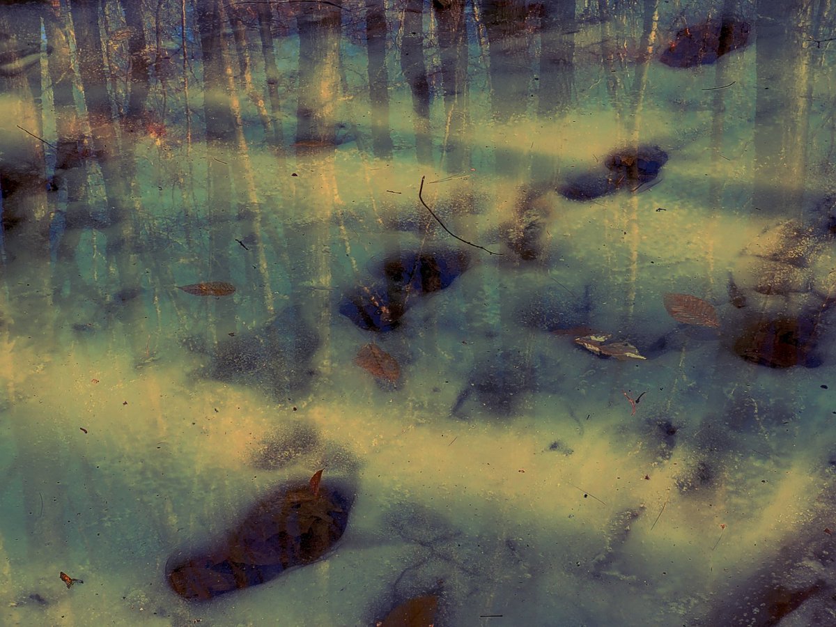 vibe-curious tweet media