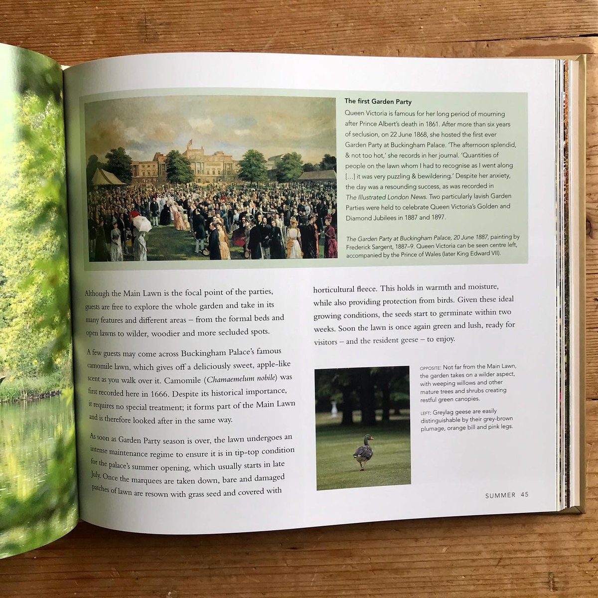 ClaireMasset's tweet photo. My new book is real! Out in bookshops and online on 13 April - thank you @roomoflight for making it look so good https://t.co/nlKS7tJH6o