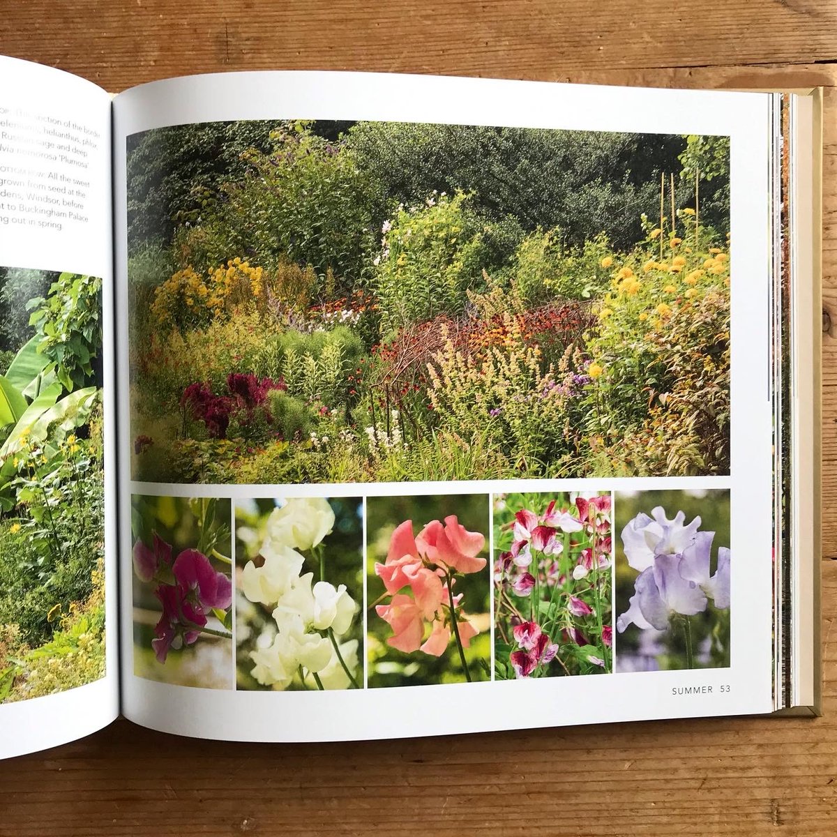 My new book is real! Out in bookshops and online on 13 April - thank you <a href="/roomoflight/">John Campbell</a> for making it look so good