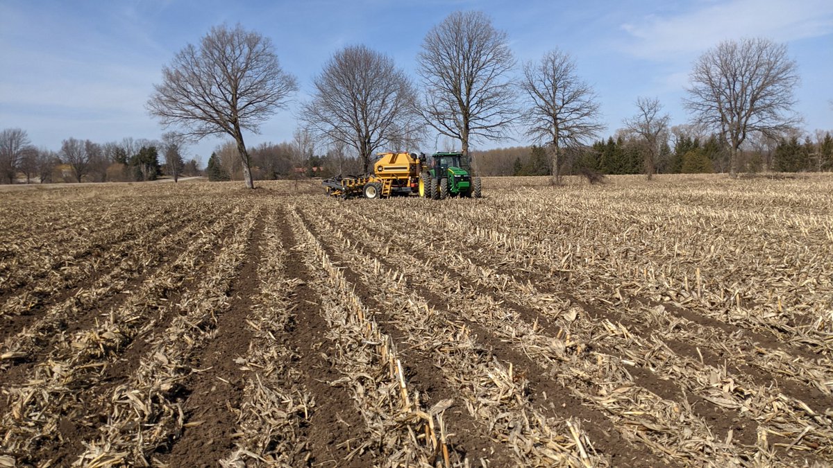 If you ain't first... Bean strips. Soil is cool but dry....like mid May dry.#ontag, #plant21