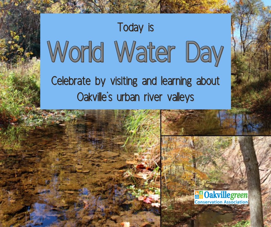 It is #WorldWaterDay, a day to recognize our freshwater and advocate for its sustainable management. Here in #Oakville we are fortunate to be surrounded by three Greenbelt-protected urban river valleys: Bronte Creek, Sixteen Mile Creek, and Fourteen Mile Creek. #ONGreenbelt