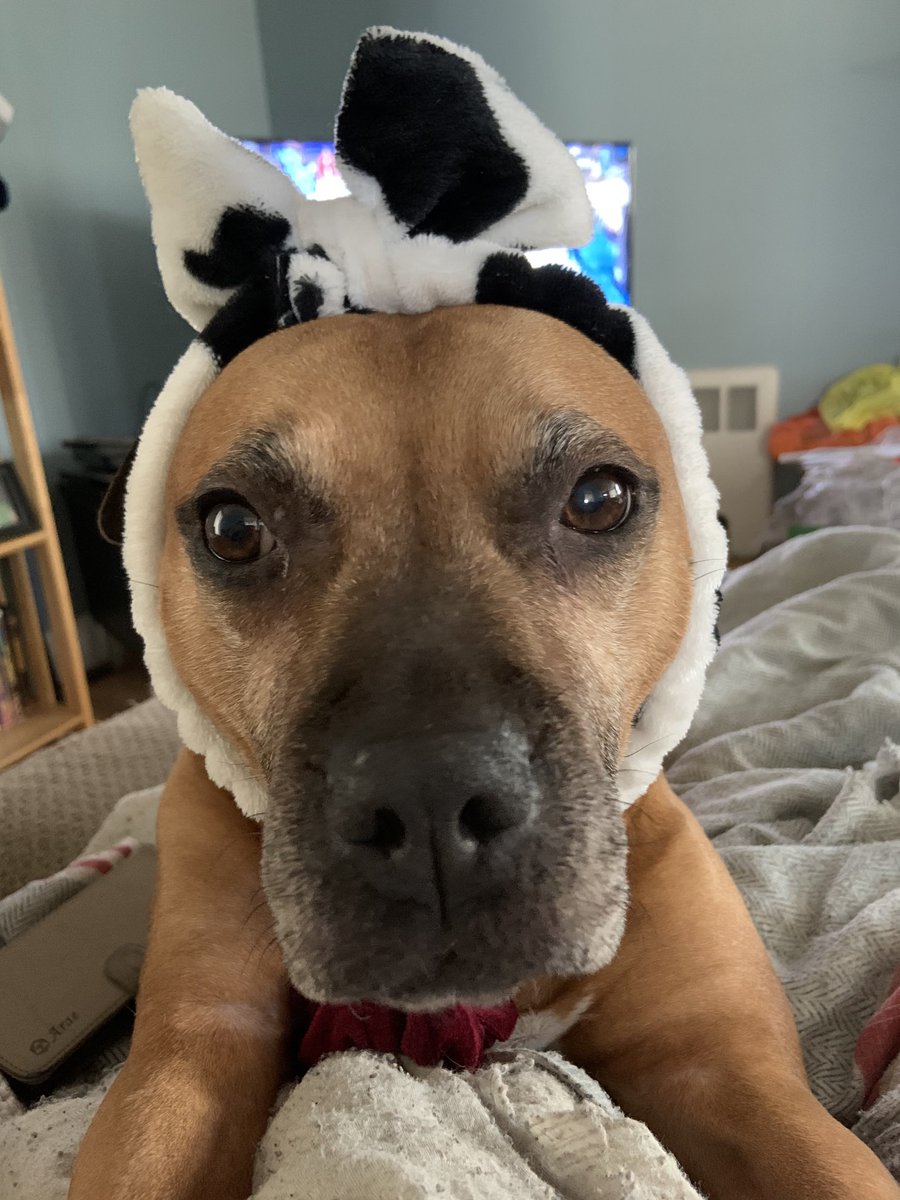 Stephanie O'Connell tweet media