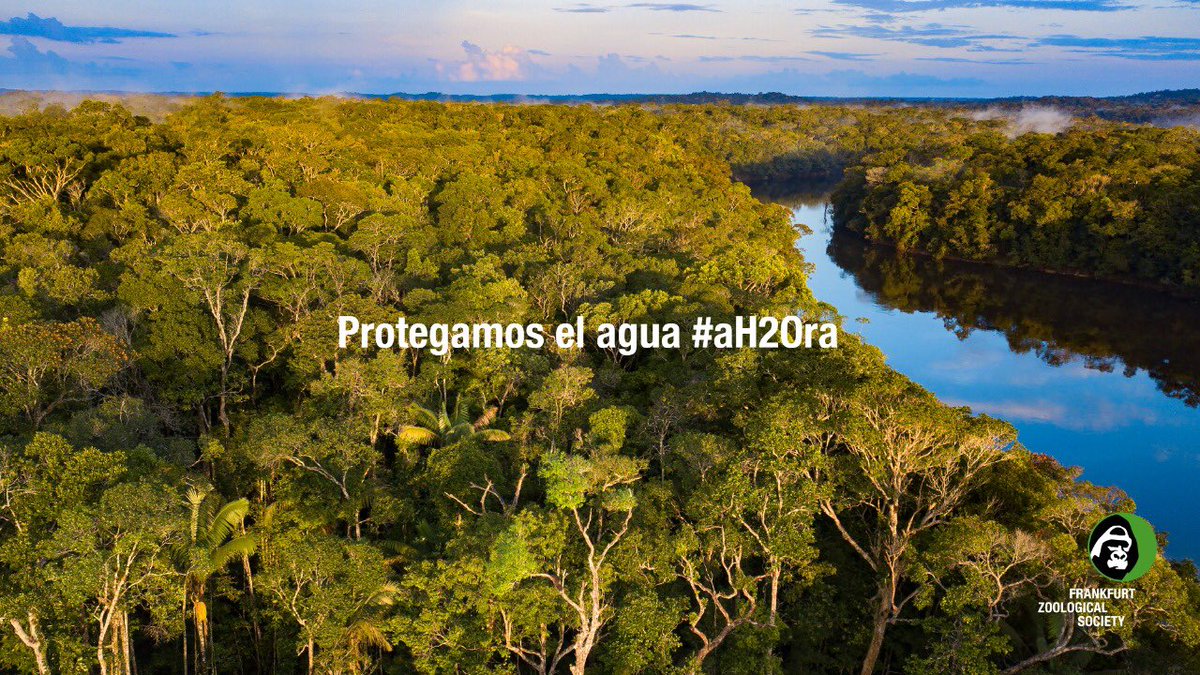 FZS_Colombia's tweet photo. En el #DíaMundialDelAgua nos unimos al movimiento digital que busca protegerla #aH2Ora. Desliza las imágenes ➡️ para conocer por qué el recurso vital está en peligro. https://t.co/uvb6wCWNNM
