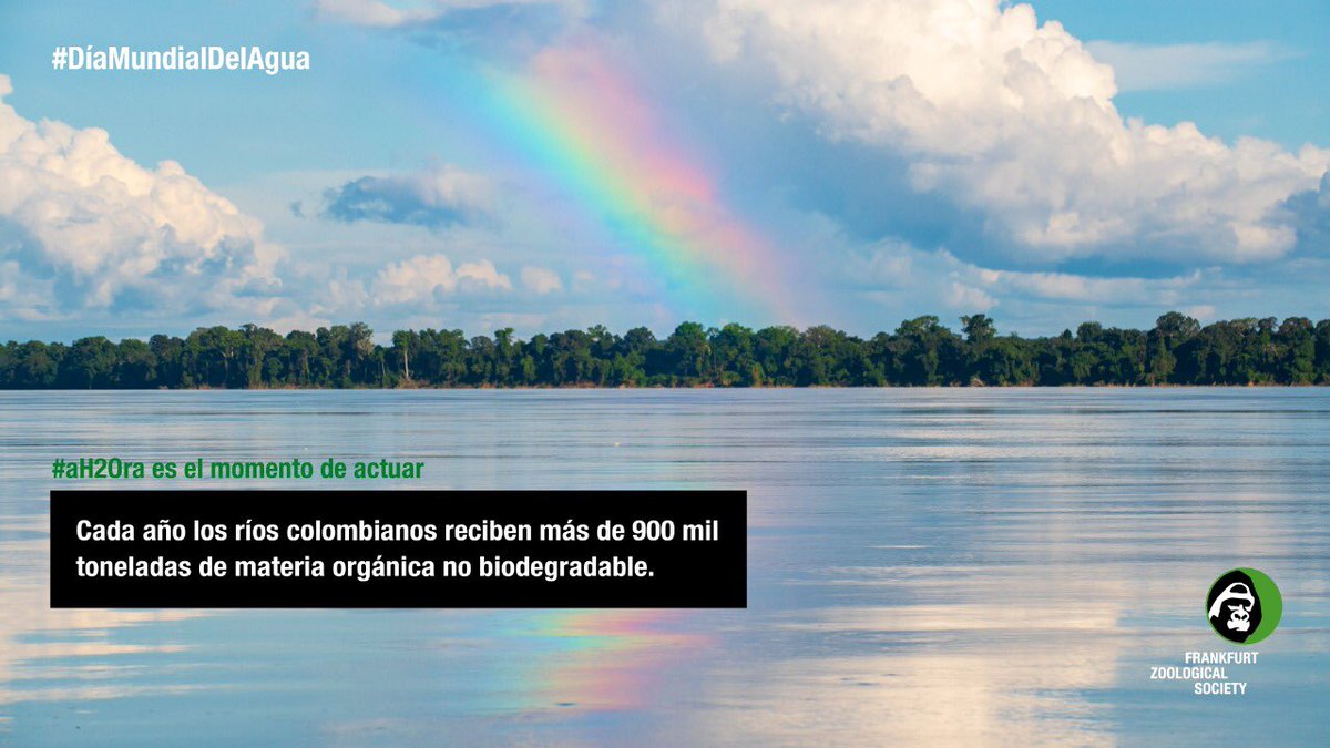 FZS_Colombia's tweet photo. En el #DíaMundialDelAgua nos unimos al movimiento digital que busca protegerla #aH2Ora. Desliza las imágenes ➡️ para conocer por qué el recurso vital está en peligro. https://t.co/uvb6wCWNNM