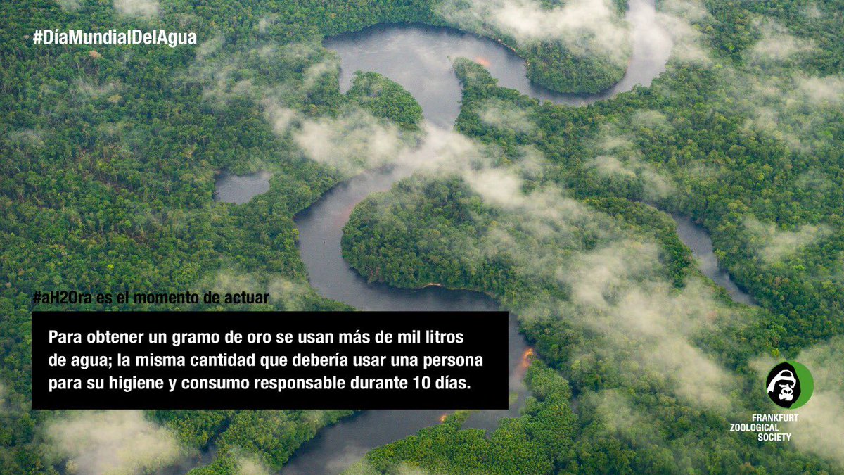 FZS_Colombia's tweet photo. En el #DíaMundialDelAgua nos unimos al movimiento digital que busca protegerla #aH2Ora. Desliza las imágenes ➡️ para conocer por qué el recurso vital está en peligro. https://t.co/uvb6wCWNNM