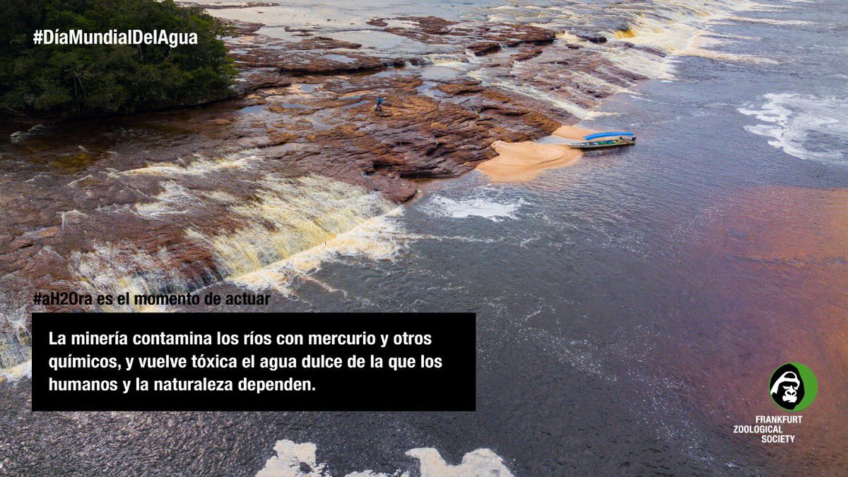 FZS_Colombia's tweet photo. En el #DíaMundialDelAgua nos unimos al movimiento digital que busca protegerla #aH2Ora. Desliza las imágenes ➡️ para conocer por qué el recurso vital está en peligro. https://t.co/uvb6wCWNNM