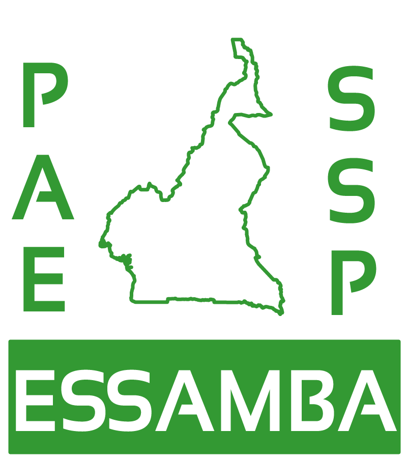 DebeyPamela's tweet photo. Le #PAEESSAMBA pour cette année 2021 a comme cheval de prou le "Genre". A cet effet, il a organisé une Table ronde sur le thème : "Femme moteur d'un Développement communautaire en période de Covid19" dans la ville de Maroua. #GenreetDéveloppement @FeliciteeMarie @KetWandji https://t.co/pYp6duUPYA