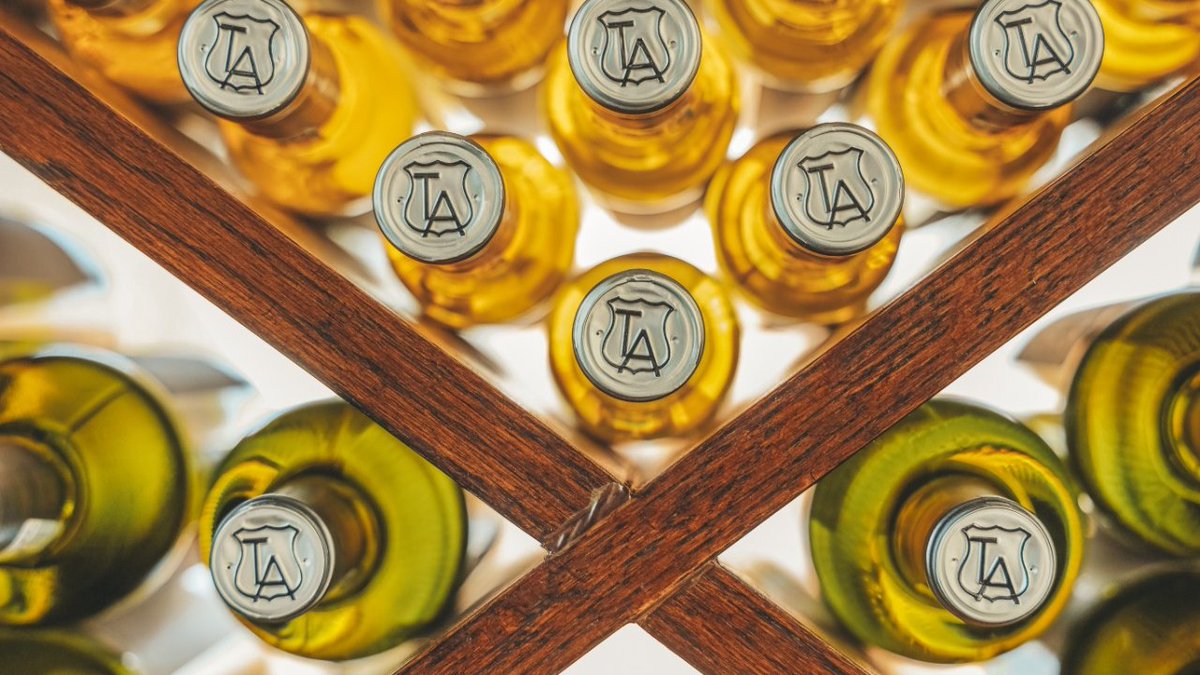 La belleza del vino mexicano de altura😍. 

Adquiere nuestras botellas en vinostierraadentro.net/shop , tiendas TA y muchos establecimientos ya conocidos🍷. 

Envíos a todo el país🇲🇽. #TANosUne