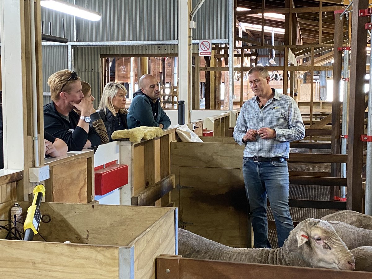 middlehurstpast's tweet photo. Great to have Ferg in the team today talking sheep to icebreaker https://t.co/TtAtZudBtw