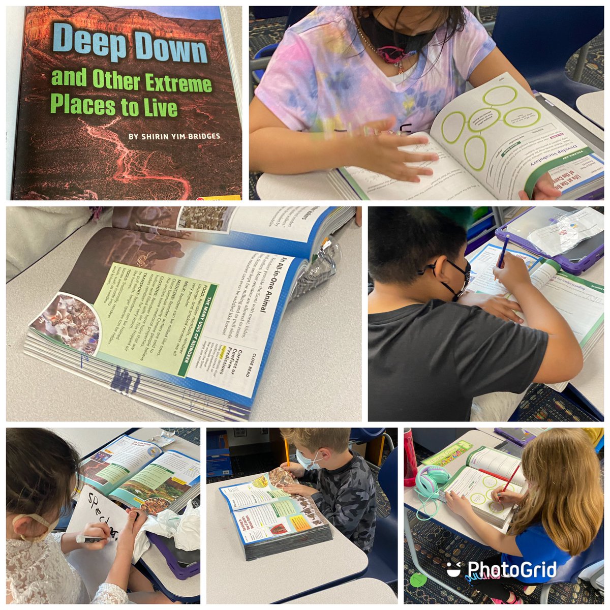 TheMrDeWitt89's tweet image. We are using our new vocabulary words to describe extreme places from around the world! We are also using text evidence to answer text based questions about our story.  @RobeyRockets #wearewayne. 📚