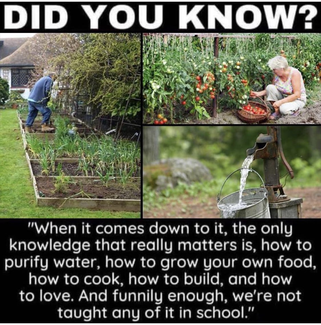 cpsstar's tweet image. 