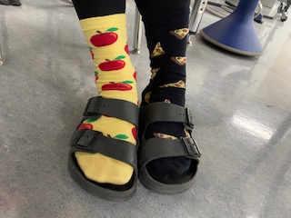 Heloise Lorimer School tweet media