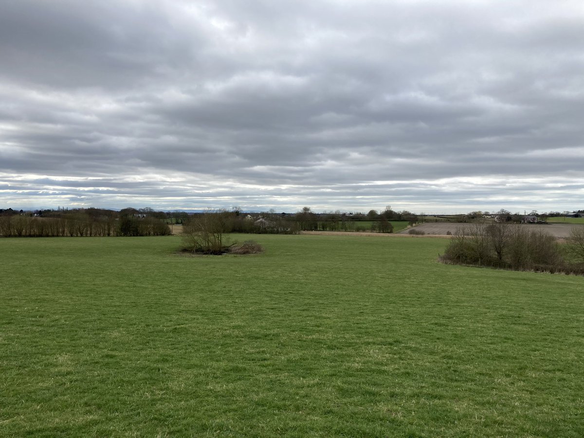 Had a great day of field work last week at Gorse Hill LNR in Ormskirk for the Management Planning module as part of my masters degree.  

My initial thought is to expand the already existing pocket Reed bed to improve landscape connectivity for species such as Bitterns!