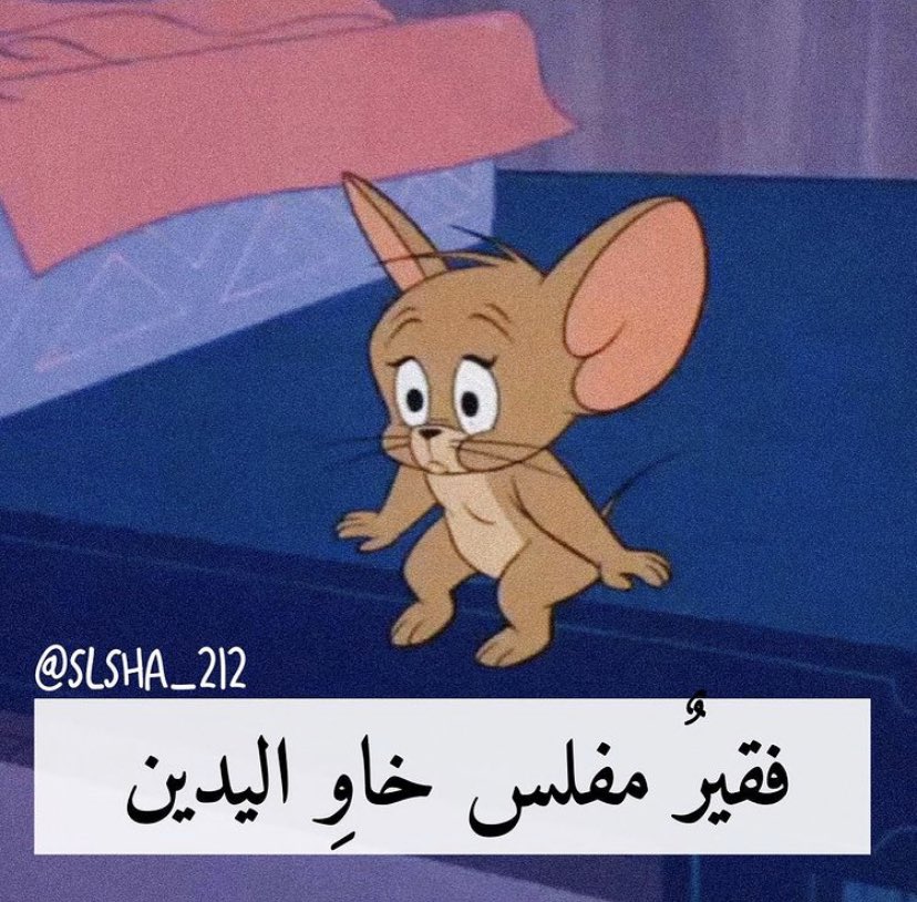 رياكشنات توم وجيري tweet media