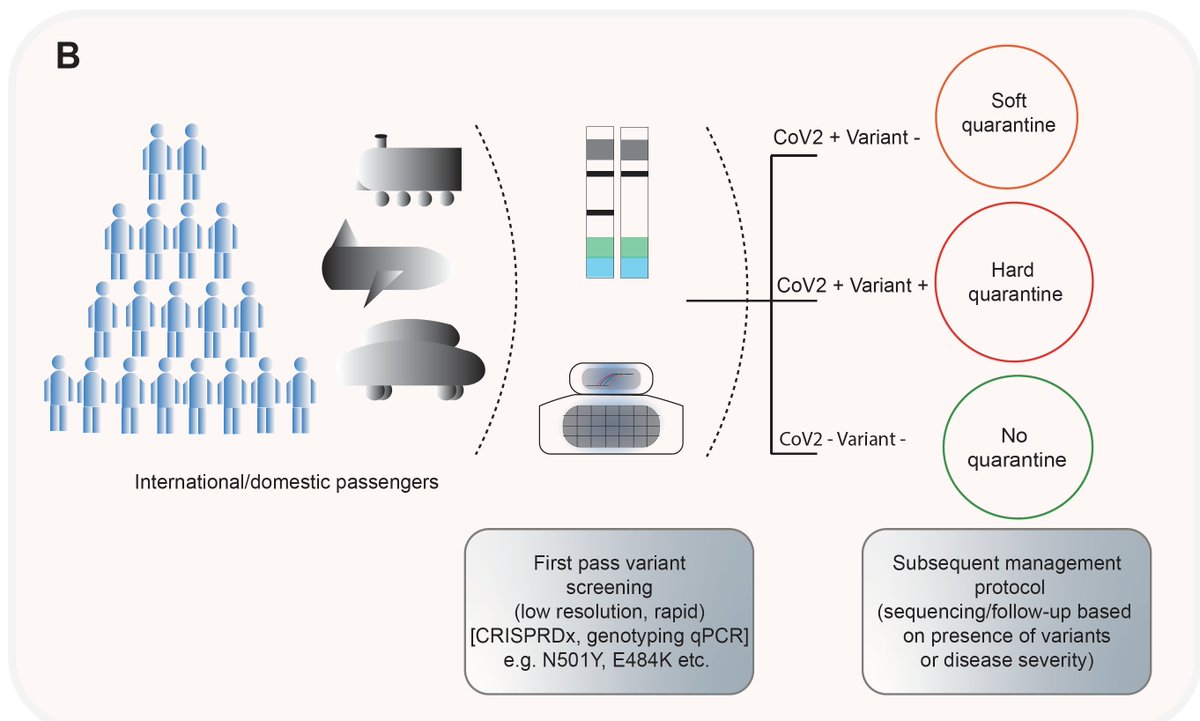 EricTopol's tweet photo. Detecting #SARSCoV2 variants with #CRISPR in India for < $15 in < 90 minutes https://t.co/j6kJ0b8SYB @TheLancet https://t.co/8eYEHqo3GB