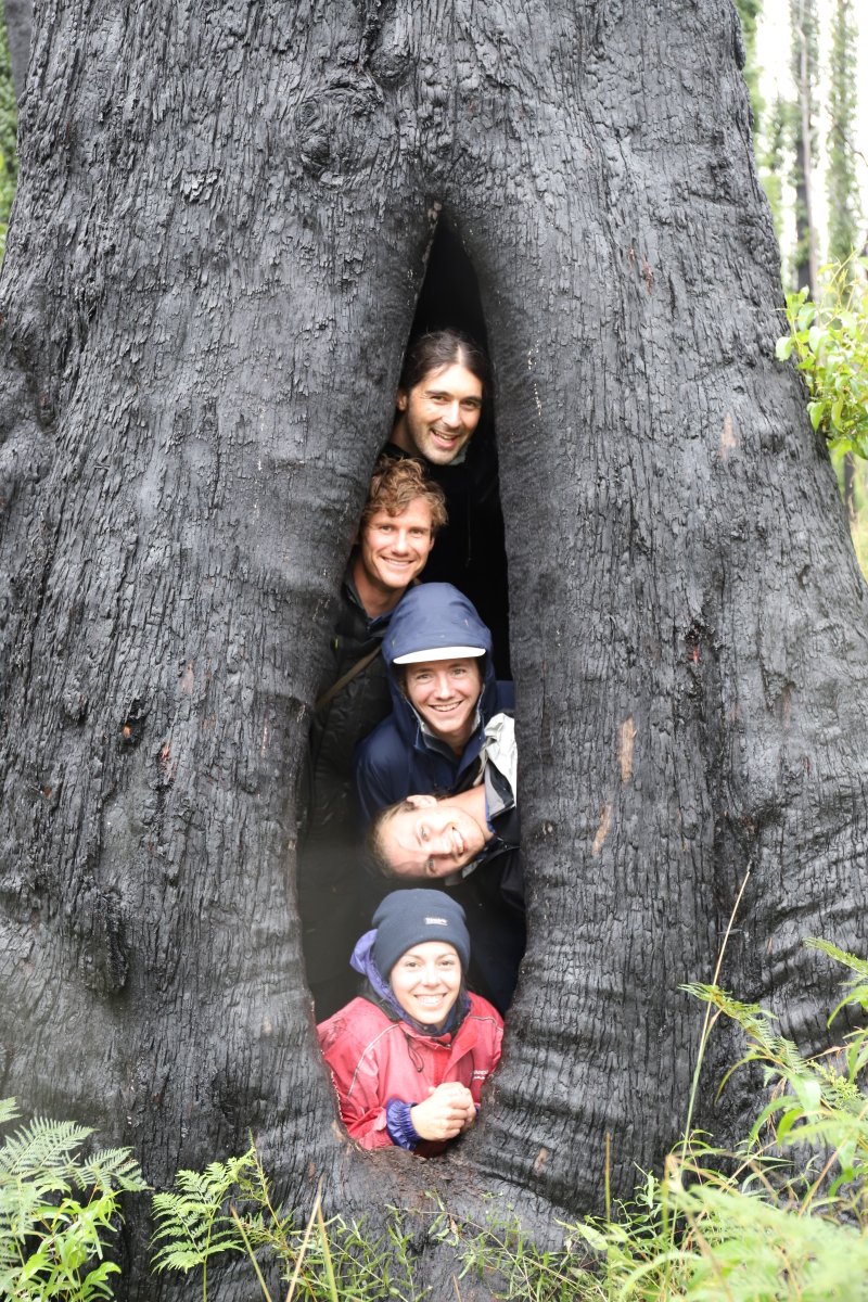 TERN_Aus's tweet photo. Happy #NationalEucalyptDay🥳
Our very wet field team is all smiles as they celebrate in the beautiful #eucalypt forests of southeast NSW! 
Re-surveys will provide #opendata on post-fire ecosystem recovery.  Data &amp; samples coming soon...
#NCRISimpact https://t.co/uPVDpAwtck