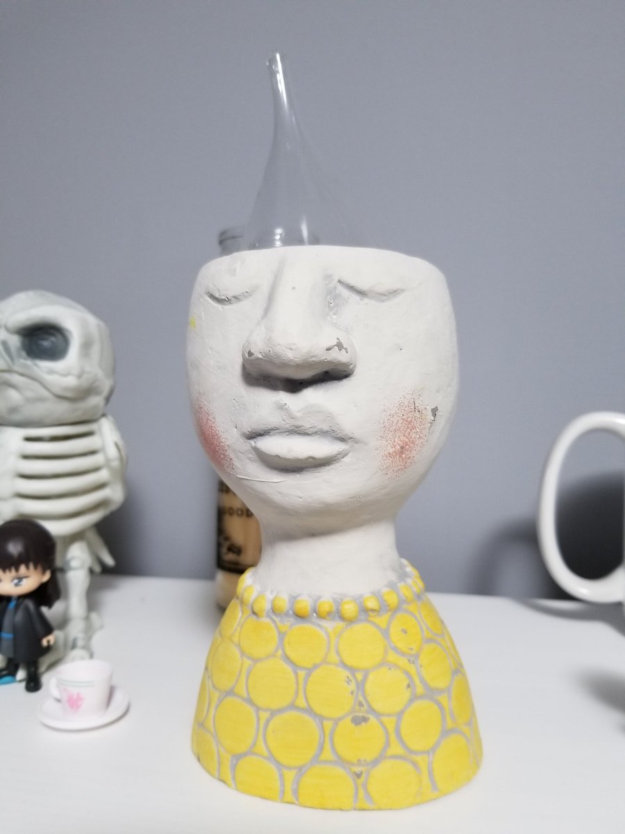 hutchie222's tweet photo. @Calum5SOS why does my planter kinda look like you https://t.co/YeTbh8uD9q