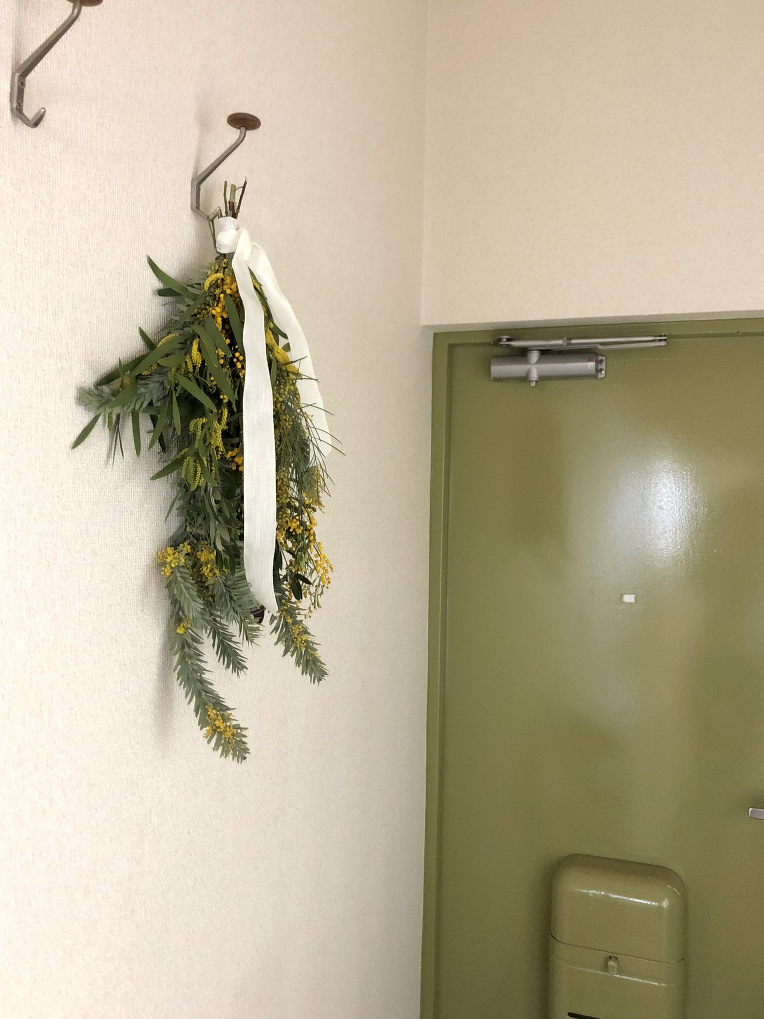 木村イマ 2日目の少ししおらしくなられたミモザさま ミモザと言っているものの和名はフサアカシアなのね アカシアって白い花の つくあの木のイメージだったのだけどあれはニセアカシアというらしい T Co Rlqmen2fvv Twitter