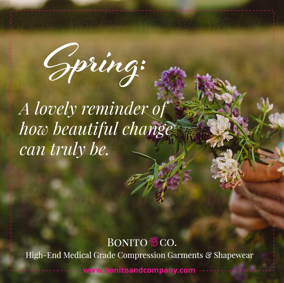 bonitoandco's tweet image. Welcoming our beautiful Spring Season...
SHOP: bonitoandcompany.com
#springquotes
#spring
#springquotestoday
#tummytuck
#tummytucksurgery
#tummytuckjourney
#tummytuckrecovery
#tummytuckers
#bestplasticsurgeon
#bestplasticsurgery
#bestcompressiongarment
#lipo