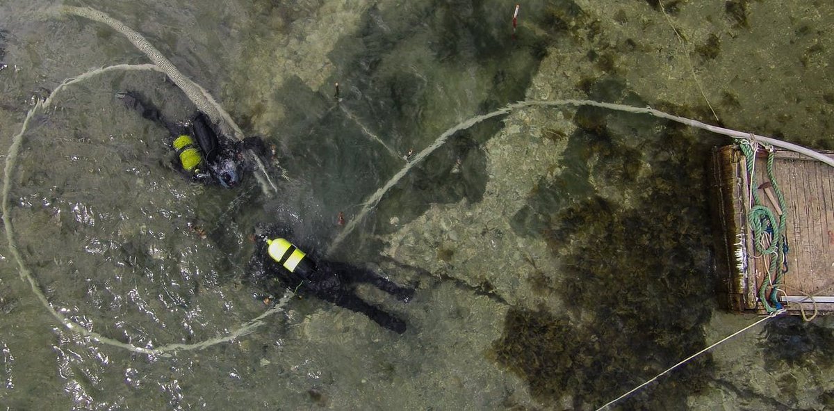 tac_org's tweet photo. Archaeologists find a better way to study ancient undersea middens that may offer new clues about life before rising seas engulfed the coast.
https://t.co/T1a64YUhhX
#Archaeology #ShellMiddens https://t.co/RPhBeeTM40