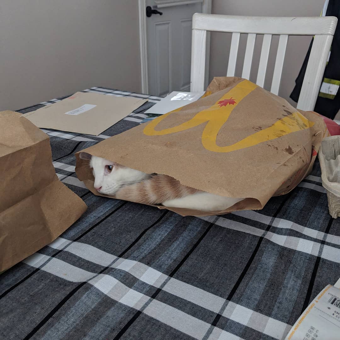 apolovince's tweet photo. @KYR_SP33DY https://t.co/i2pl3sST4f