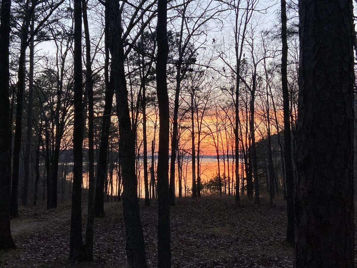 blueegg3r's tweet photo. A gorgeous night at #mistletoestatepark #georgia https://t.co/LufTdV9r24