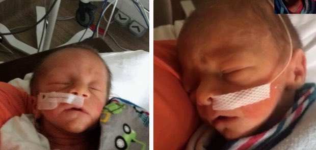 sassi_stephens's tweet photo. I go through all the sickness and aches for almost 9 months just for this two little boys to come out looking like their daddy! 🤦🏻‍♀️😂 @StephensCooper2 https://t.co/xpZreFWdkh