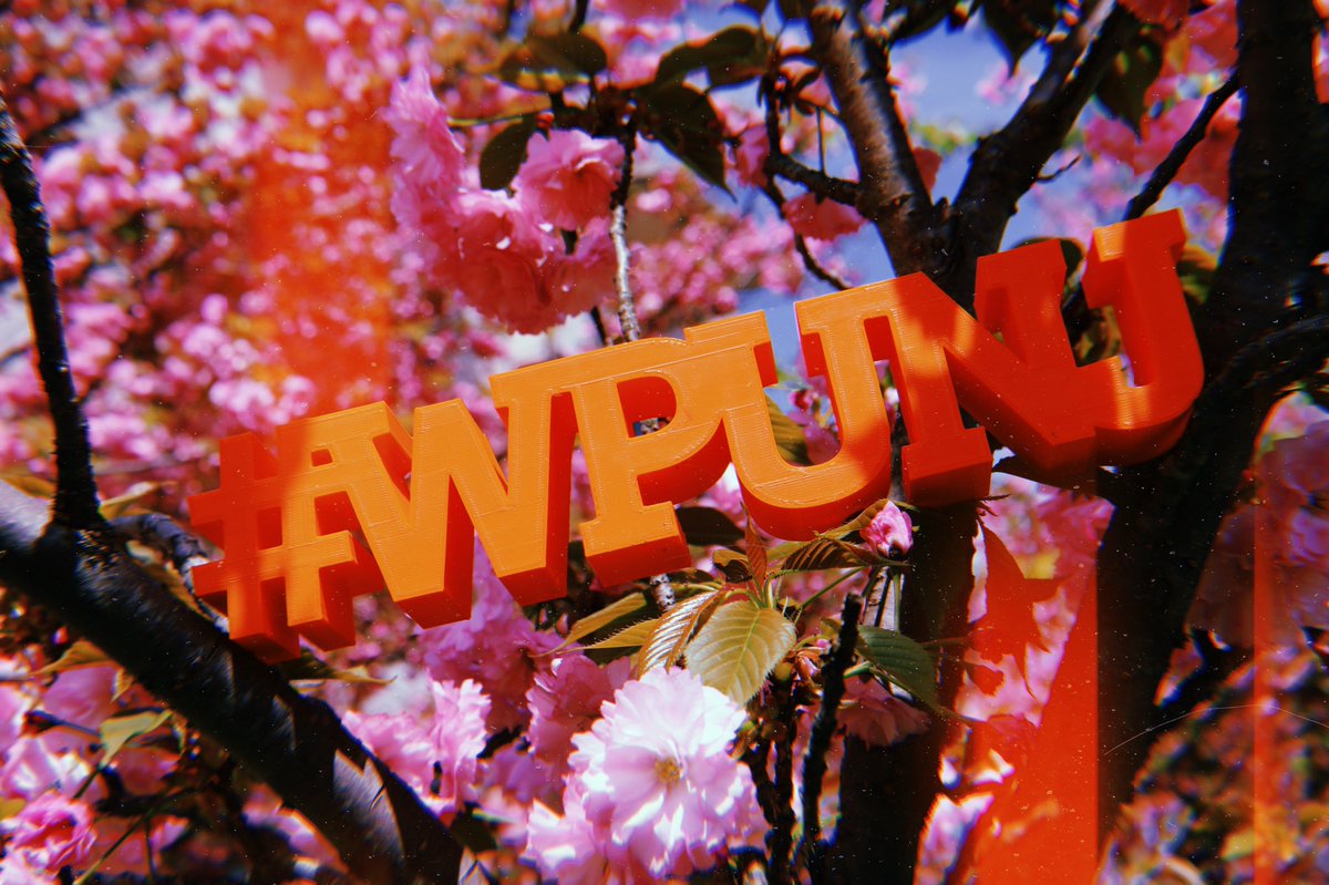 Twillyp tweet media