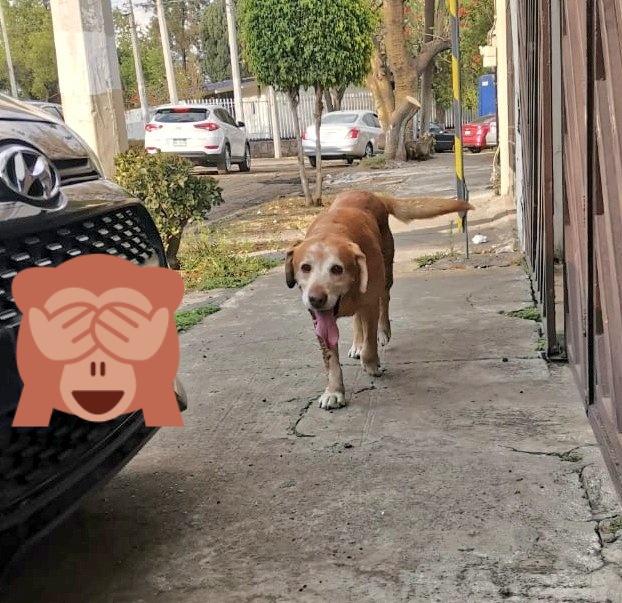 Fabiola Chavez tweet media