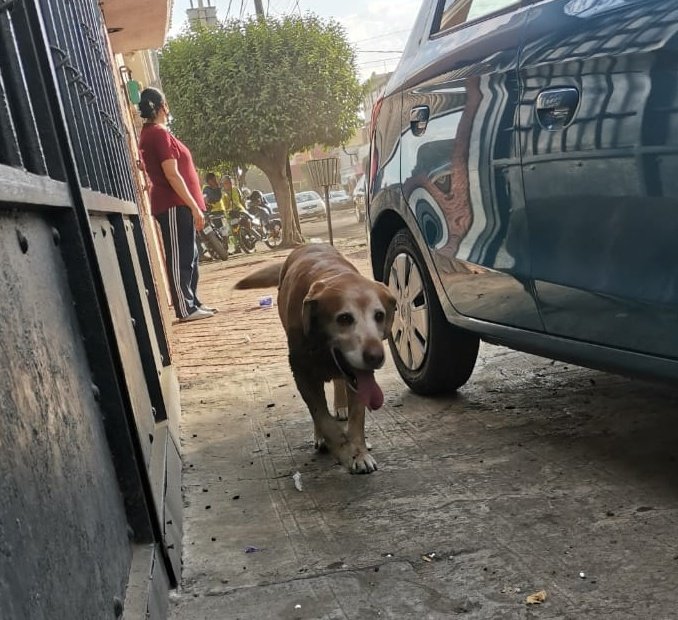 Fabiola Chavez tweet media