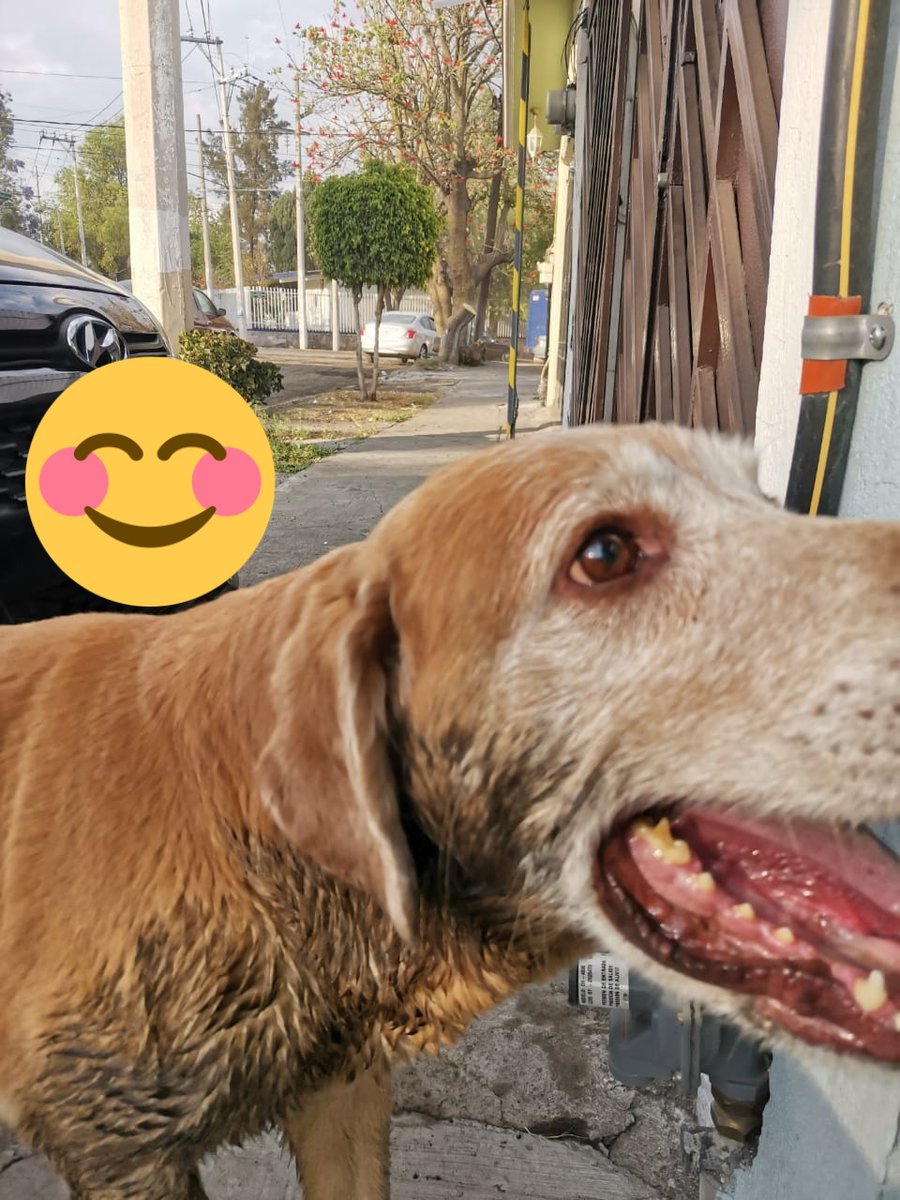 Fabiola Chavez tweet media