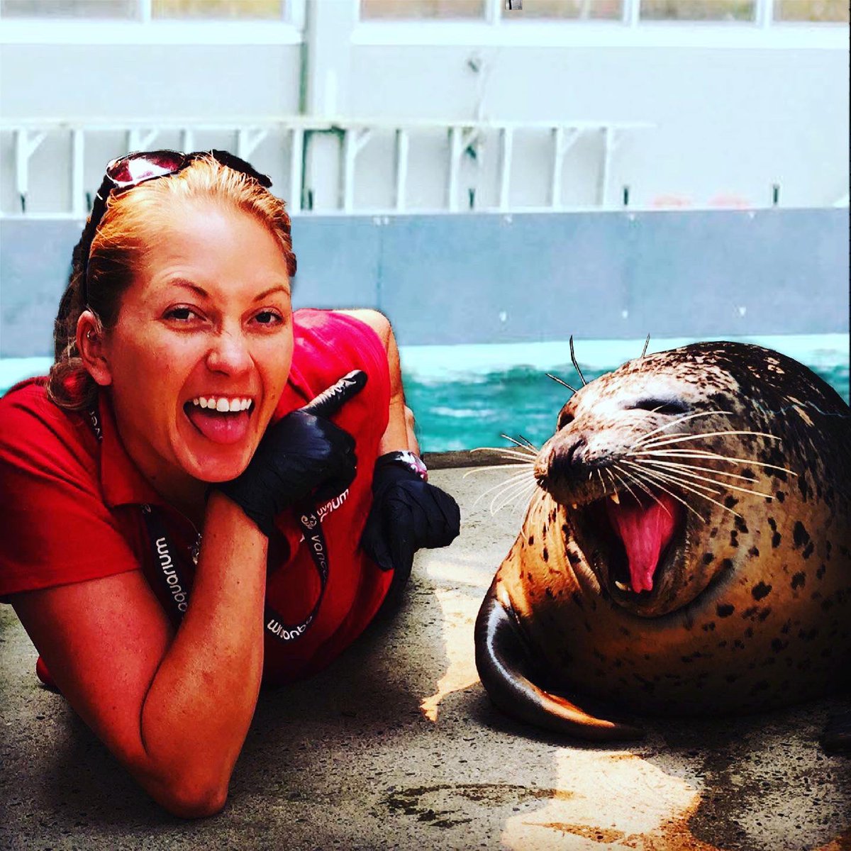 Happy #InternationalSealDay ! These blubbery #pinnipeds are one of my absolute favs. 
#marinebiologist #marinemammaltrainer #seals