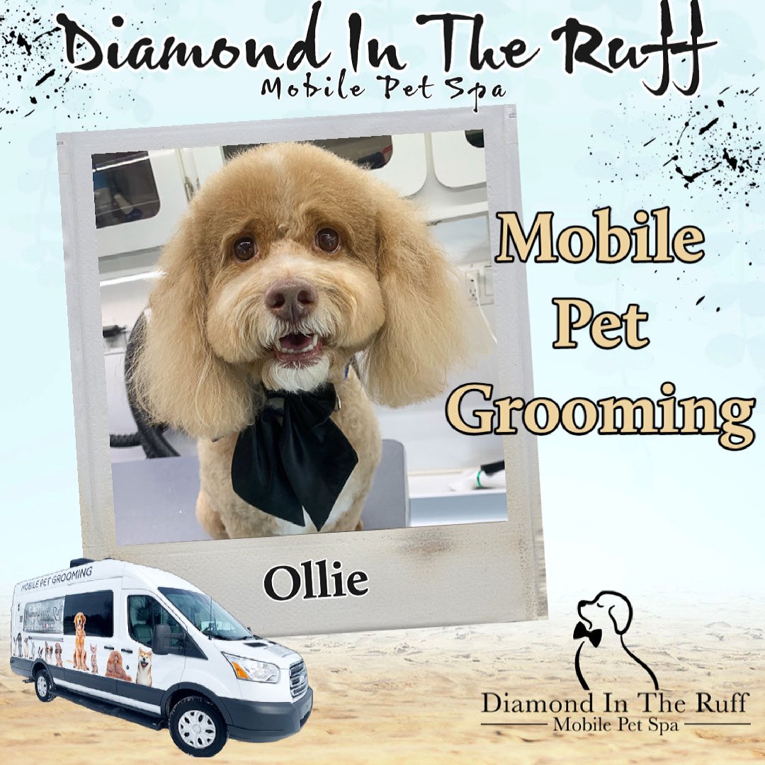 Diamond in the hotsell ruff mobile grooming