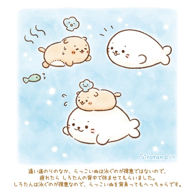 しろたんさん の人気ツイート 4 Whotwi グラフィカルtwitter分析 しろたんさん の人気ツイート 4 Whotwi グラフィカルtwitter分析