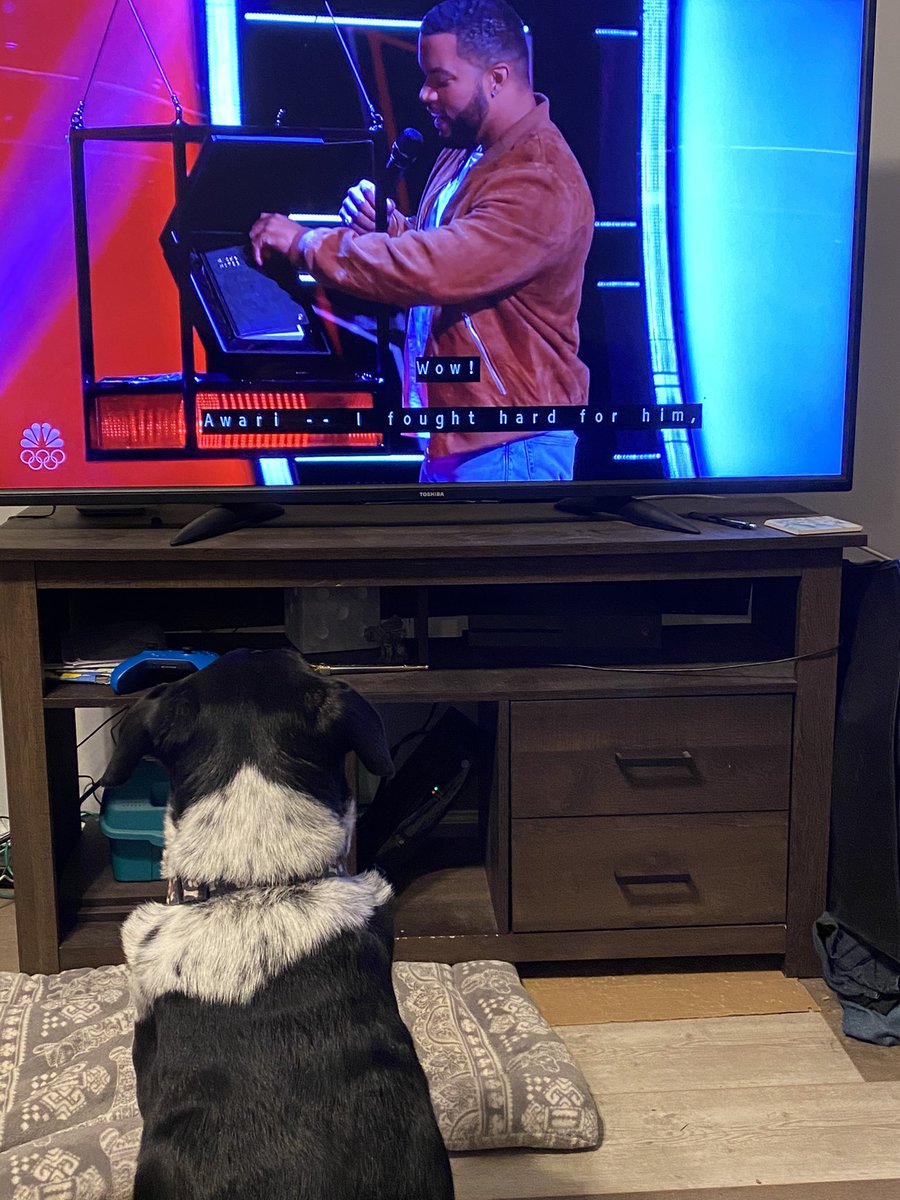 LoraFranks11's tweet photo. @nickjonas @awari My dog Baz loves watching #TheVoice and thinks Awari was a great choice! https://t.co/H01iXNQcJD