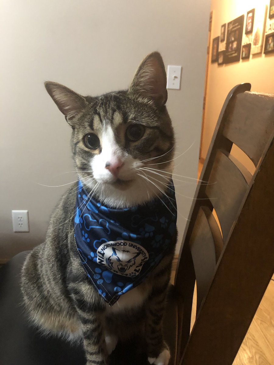 taylorwright_14's tweet photo. @NorthwoodU Mr. O / Oliver is a big fan of @TWolvesSoftball !!!🥎💙🤍 https://t.co/PGM4nkYk1a