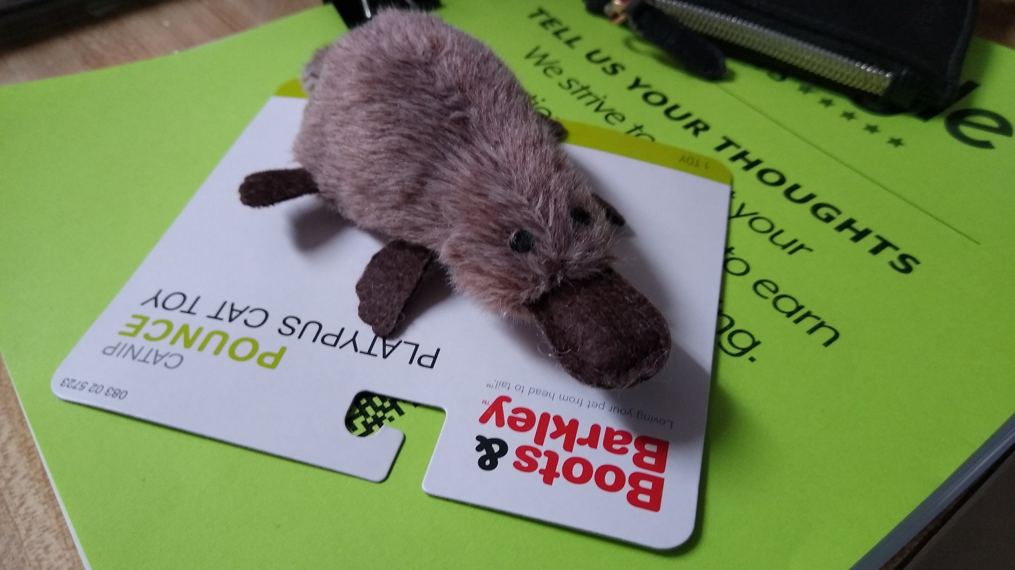 BlueGuyNow on Twitter "Normal Las Vegas souvenirs tshirts, coffee