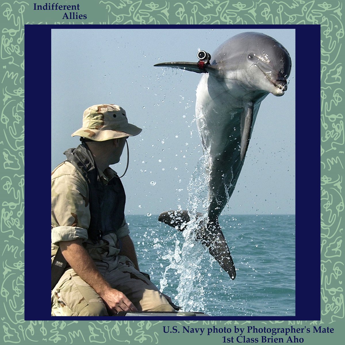 ConsequenceF's tweet photo. Bruce McCandless' nonfiction feature "Indifferent Animals" is live on the site now. It's an engaging and unusual piece, well worth reading and contemplating. Did you know dolphins perform mine clearance services for the U.S. military? Once such dolphin, "K-Dog," is picture here. https://t.co/LnDRhDU3qK
