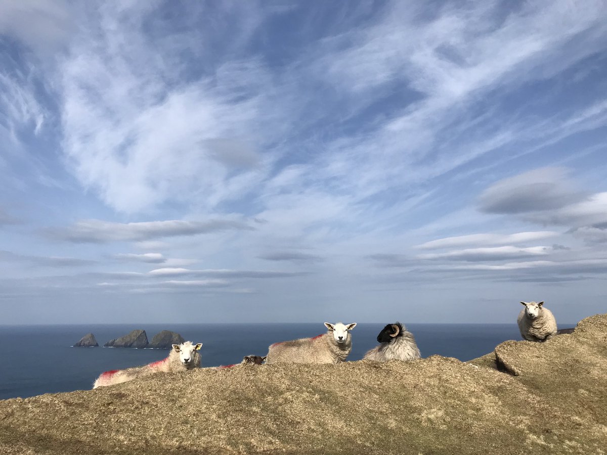 seanictmayo's tweet photo. I took this photo looking out on the Stags of Broadhaven β¦@MayoDotIEβ© on 20/3/2020 when we were in the initial throes of social distancing. One year later and the numbers of daily cases are even higher. Cannot wait to get back exploring the great outdoors https://t.co/MWzjiCa9SV
