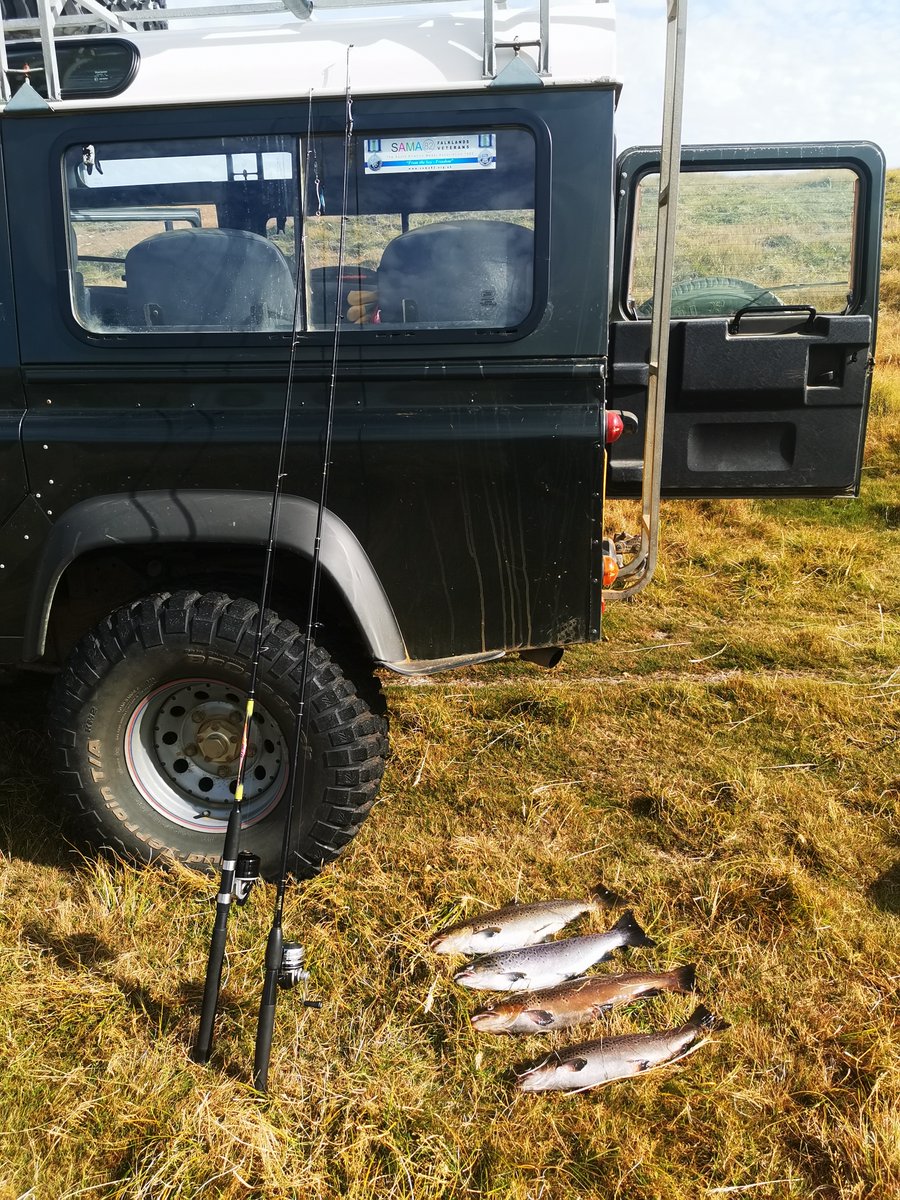 kelper60's tweet photo. #falklandislands #trout #chartresriver we kept four fish out of a possible 30 that we caught in approx 1 1/2 this morning...crazy day.. https://t.co/XENjSXRk8P