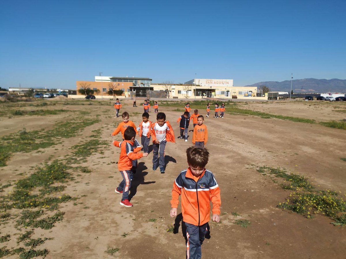 CSA Cooperativa tweet media