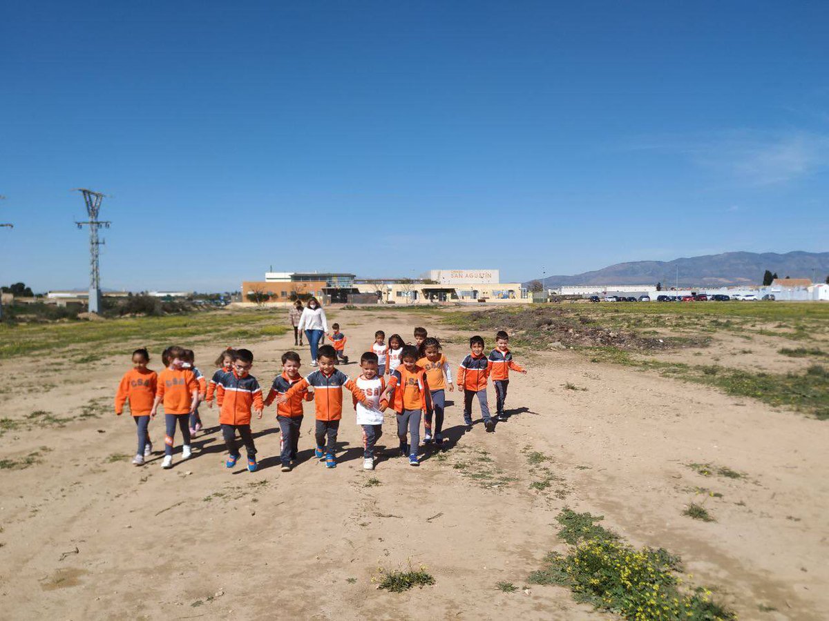 CSA Cooperativa tweet media