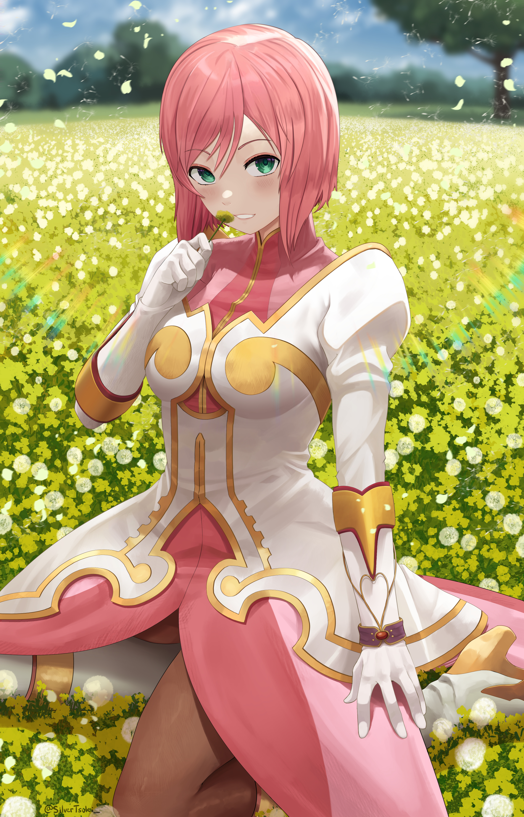Silvertsuki 銀月 Commissions Open Estellise Sidos Heurassein エステリーゼ シデス ヒュラッセイン T Co Jafzwsal05 Twitter