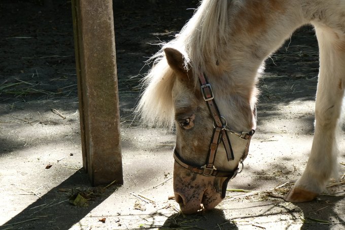 考えよう 高画質 のtwitterイラスト検索結果 古い順