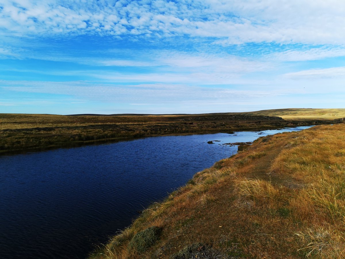 kelper60's tweet photo. #falklandislands #trout #chartresriver we kept four fish out of a possible 30 that we caught in approx 1 1/2 this morning...crazy day.. https://t.co/XENjSXRk8P